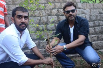  Venkatesh At Haritha Haaram Event